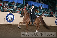 08yn-15575 thumbnail