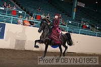 08yn-01853 thumbnail