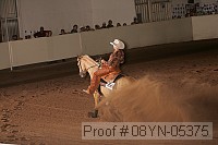 08yn-05375 thumbnail