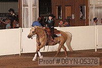 08yn-05378 thumbnail