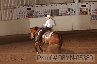 08yn-05380 thumbnail