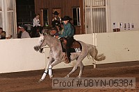 08yn-05384 thumbnail
