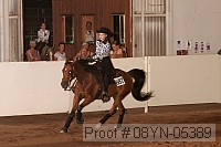 08yn-05389 thumbnail