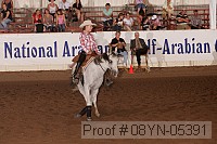 08yn-05391 thumbnail