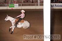 08yn-05393 thumbnail