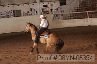 08yn-05394 thumbnail