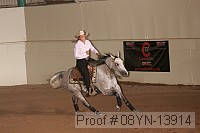 08yn-13914 thumbnail