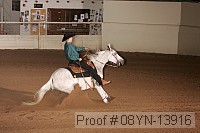 08yn-13916 thumbnail