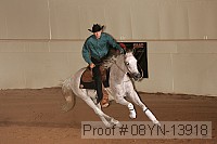 08yn-13918 thumbnail