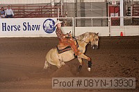 08yn-13930 thumbnail