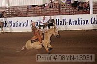 08yn-13931 thumbnail