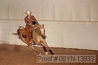 08yn-13933 thumbnail
