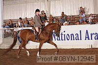 08yn-12945 thumbnail