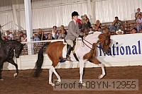 08yn-12955 thumbnail