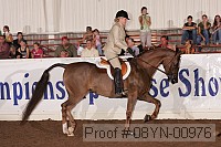 08yn-00976 thumbnail