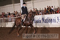 08yn-00977 thumbnail