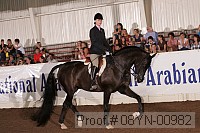 08yn-00982 thumbnail