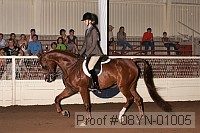 08yn-01005 thumbnail