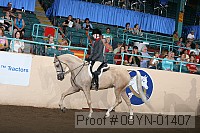 08yn-01407 thumbnail