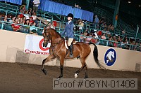 08yn-01408 thumbnail