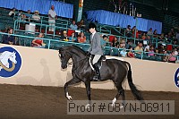 08yn-06911 thumbnail