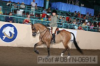 08yn-06914 thumbnail