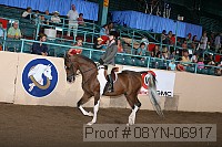 08yn-06917 thumbnail