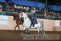 08yn-13437 thumbnail