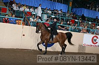 08yn-13442 thumbnail