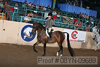 08yn-09689 thumbnail