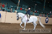 08yn-10587 thumbnail