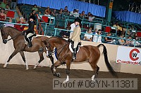 08yn-11381 thumbnail