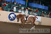 08yn-11382 thumbnail