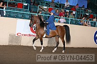 08yn-04453 thumbnail