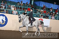 08yn-04458 thumbnail