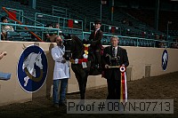 08yn-07713 thumbnail