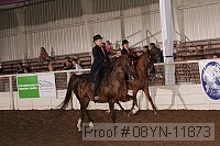 08yn-11873 thumbnail