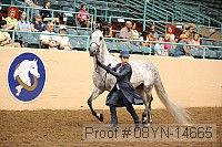 08yn-14665 thumbnail