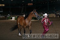 08yn-14694 thumbnail