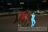 08yn-14702 thumbnail