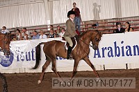 08yn-07177 thumbnail