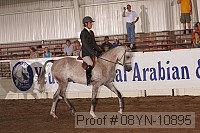 08yn-10895 thumbnail