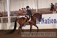 08yn-10712 thumbnail