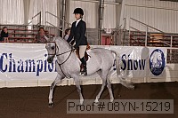 08yn-15219 thumbnail
