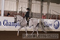 08yn-15222 thumbnail