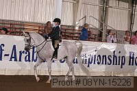 08yn-15226 thumbnail