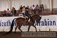 08yn-15236 thumbnail