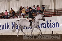 08yn-15237 thumbnail