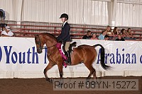 08yn-15272 thumbnail