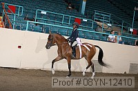 08yn-12410 thumbnail